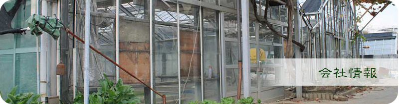 安藤農園の会社情報のタイトル