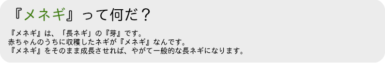 「メネギ」って何？