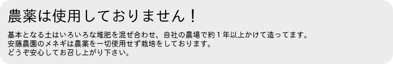無農薬