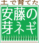 土で育てた安藤の芽ネギ 安藤農園株式会社